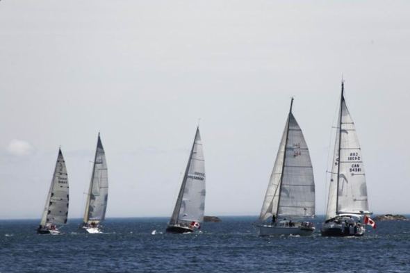 парусные новости, океанская регата route halifax saint-pierre 2010