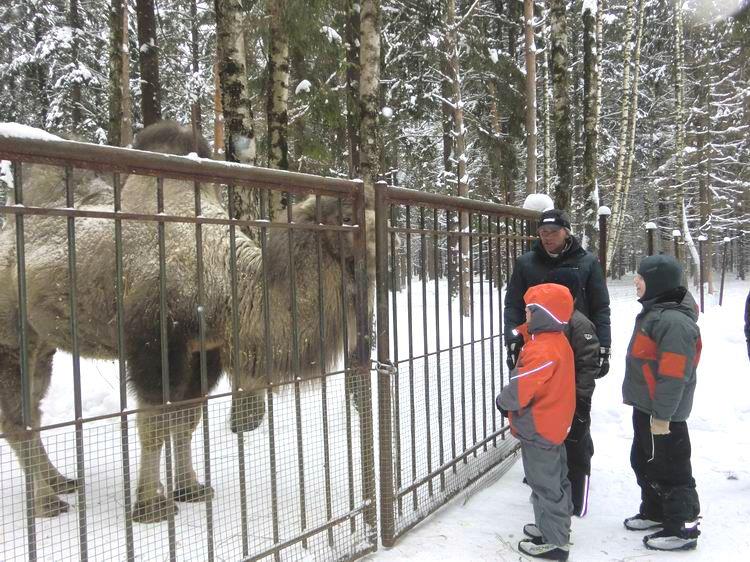 детская парусная школа, пирогово, зимние занятия