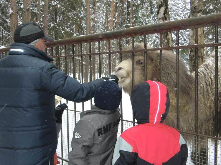 детская парусная школа, пирогово, зимние занятия
