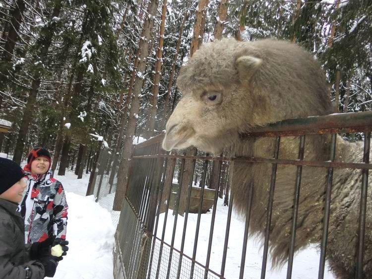 детская парусная школа, пирогово, зимние занятия