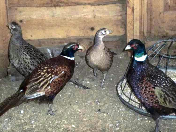 детская парусная школа, пирогово, зимние занятия
