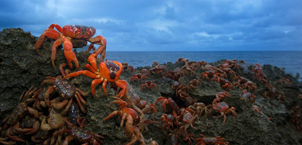 море, фото, новости, морские пейзажи